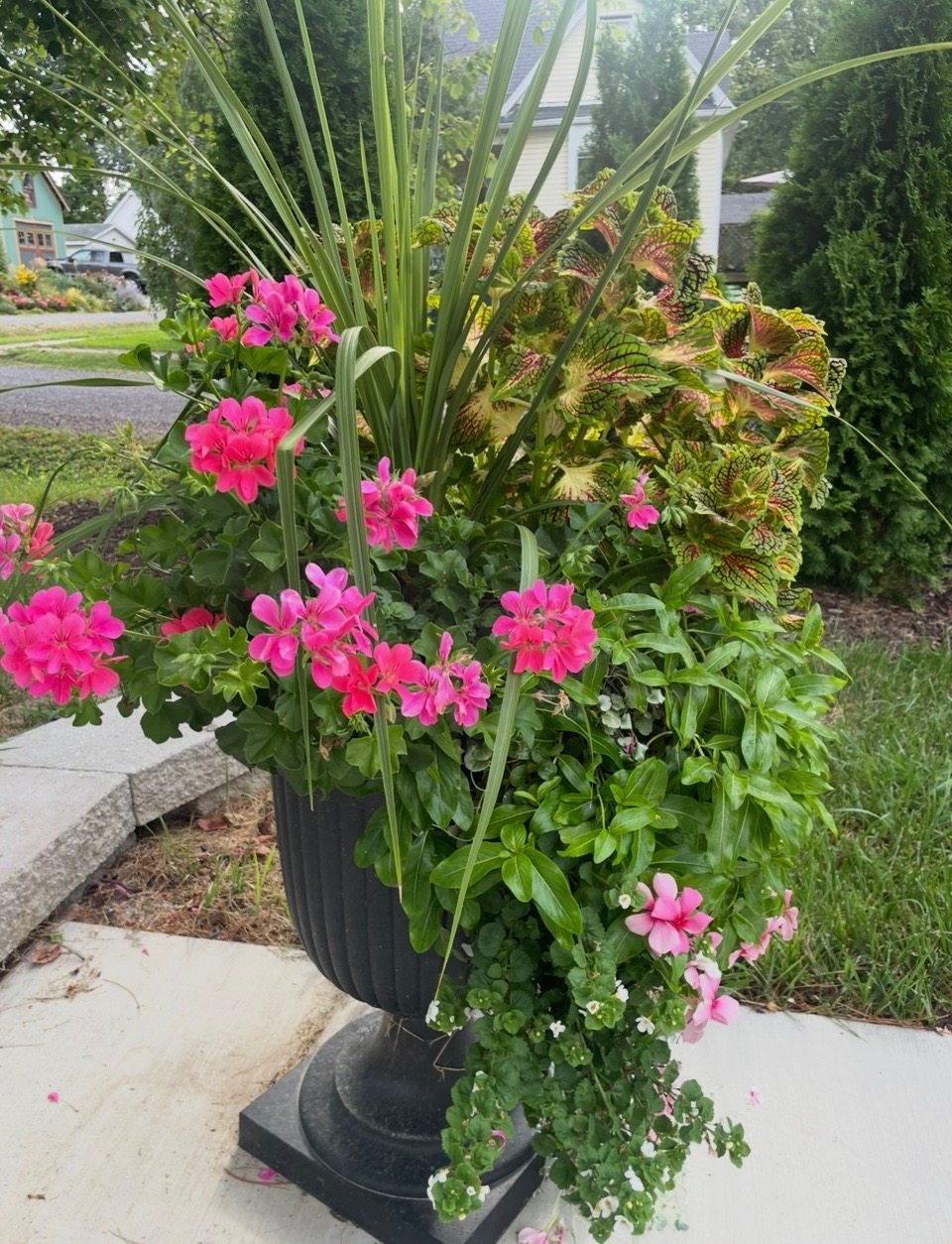 Garden photo