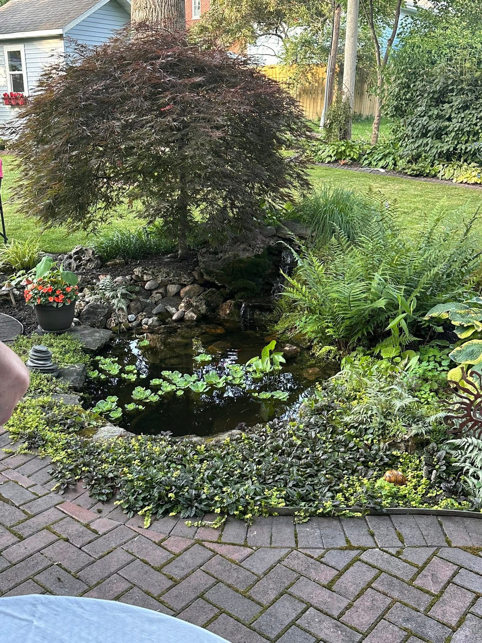 Garden photo